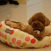 Kirby.2013.05.07-001.JPG