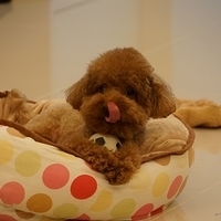 Kirby.2013.05.07-002.JPG