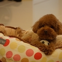 Kirby.2013.05.07-003.JPG