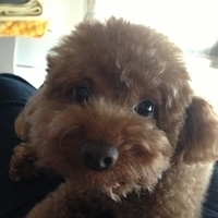 Kirby.2013.05.08-002.JPG