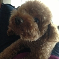 Kirby.2013.05.08-003.JPG