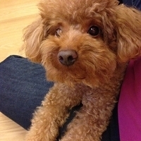 Kirby.2013.05.08-008.JPG