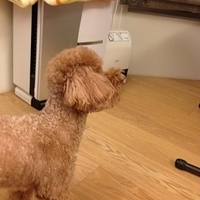 Kirby.2013.05.08-009.JPG