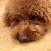 Kirby.2013.05.08-010.JPG