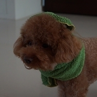 Kirby.2013.05.12-001.JPG