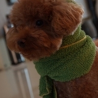 Kirby.2013.05.12-003.JPG