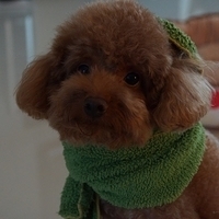 Kirby.2013.05.12-004.JPG