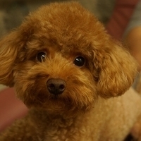 Kirby.2013.05.12-006.JPG
