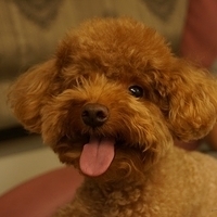 Kirby.2013.05.12-007.JPG