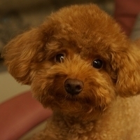 Kirby.2013.05.12-008.JPG