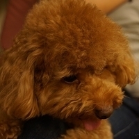 Kirby.2013.05.12-009.JPG