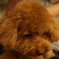 Kirby.2013.05.12-010.JPG