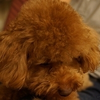 Kirby.2013.05.12-011.JPG