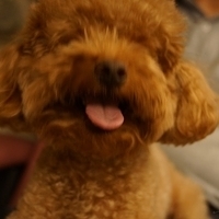 Kirby.2013.05.12-012.JPG