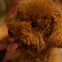 Kirby.2013.05.12-013.JPG
