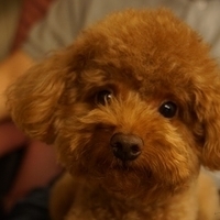 Kirby.2013.05.12-015.JPG