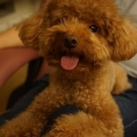 Kirby.2013.05.12-016.JPG