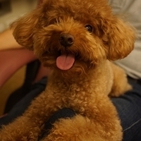 Kirby.2013.05.12-017.JPG