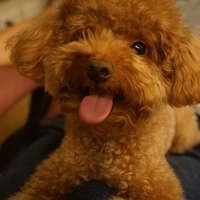 Kirby.2013.05.12-018.JPG
