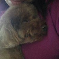 Kirby.2013.05.20-002.JPG