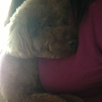 Kirby.2013.05.20-003.JPG