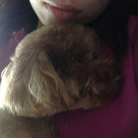 Kirby.2013.05.20-004.JPG