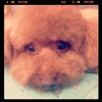 Kirby.2013.05.25-003.JPG