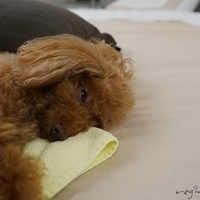 Kirby.2019.05.19-006