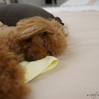 Kirby.2019.05.19-008