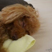 Kirby.2019.05.19-009