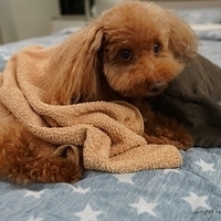 Kirby.2019.05.26-003