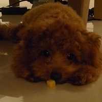 Kirby.2010.11.02-001.JPG