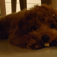 Kirby.2010.11.02-002.JPG