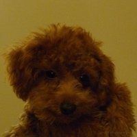 Kirby.2010.11.02-003.JPG