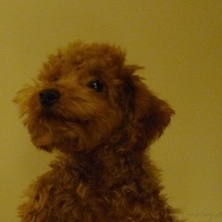 Kirby.2010.11.02-004.JPG