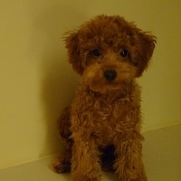 Kirby.2010.11.02-005.JPG