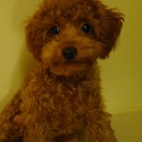 Kirby.2010.11.02-006.JPG