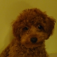 Kirby.2010.11.02-007.JPG