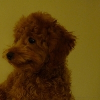 Kirby.2010.11.02-008.JPG