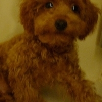 Kirby.2010.11.02-009.JPG