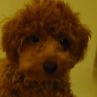 Kirby.2010.11.02-010.JPG