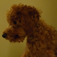 Kirby.2010.11.02-011.JPG
