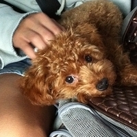 Kirby.2010.11.13-001.jpg