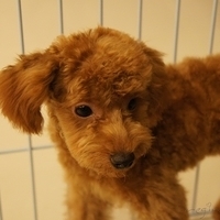 Kirby.2010.11.13-008.JPG