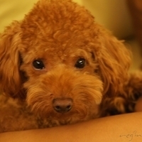Kirby.2011.11.11-005.JPG