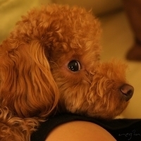 Kirby.2011.11.11-007.JPG
