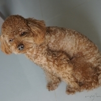 Kirby.2011.11.21-002.JPG