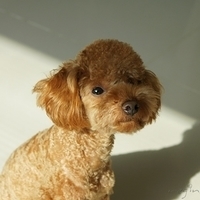 Kirby.2011.11.21-006.JPG