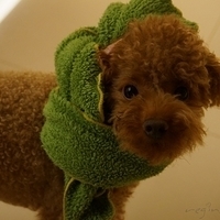 Kirby.2012.11.04-001.JPG