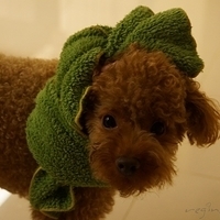 Kirby.2012.11.04-002.JPG